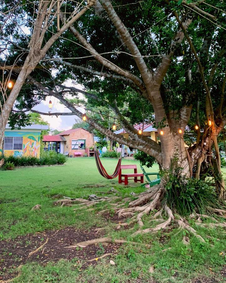 Bed and Breakfast Campito Loving Higuey Exteriér fotografie