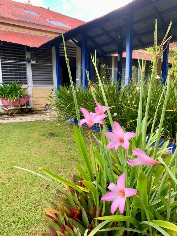 Bed and Breakfast Campito Loving Higuey Exteriér fotografie