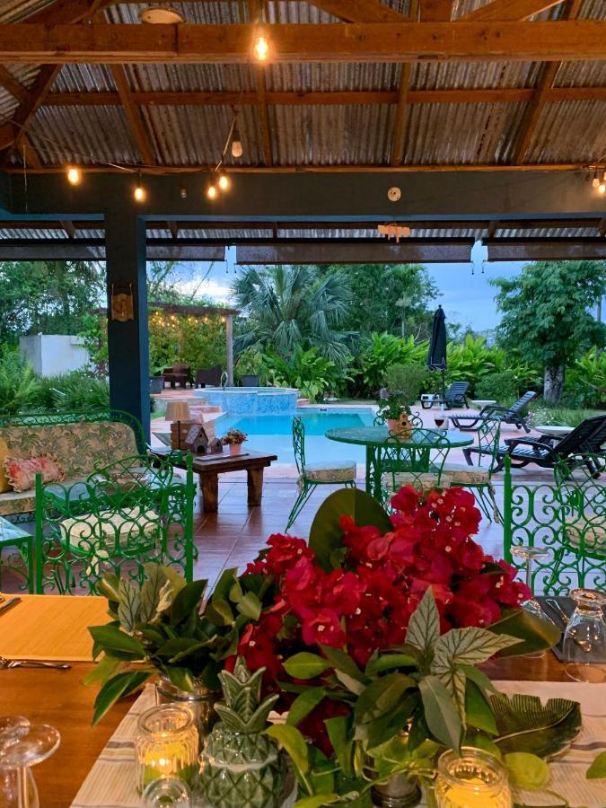 Bed and Breakfast Campito Loving Higuey Exteriér fotografie