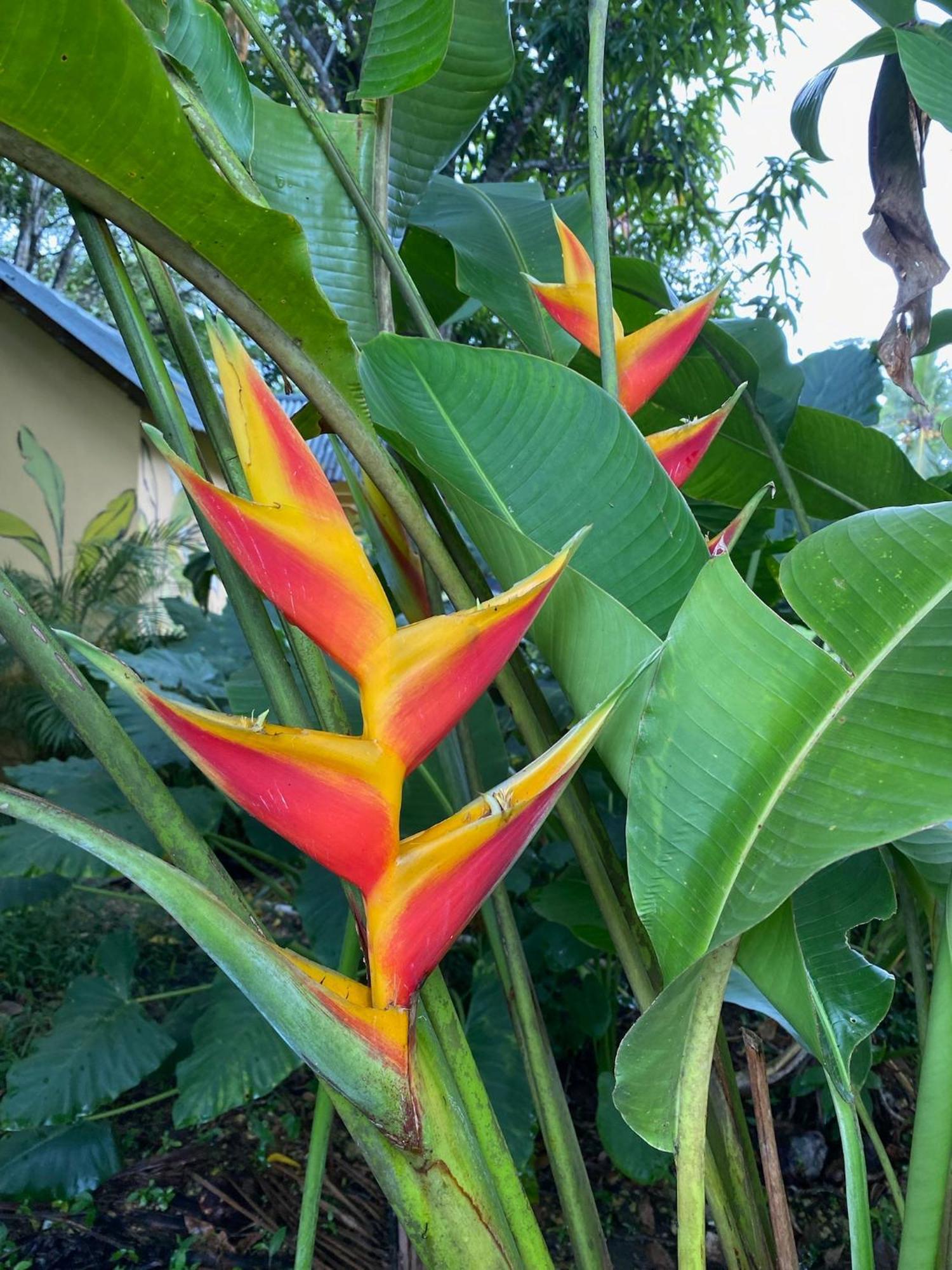 Bed and Breakfast Campito Loving Higuey Exteriér fotografie