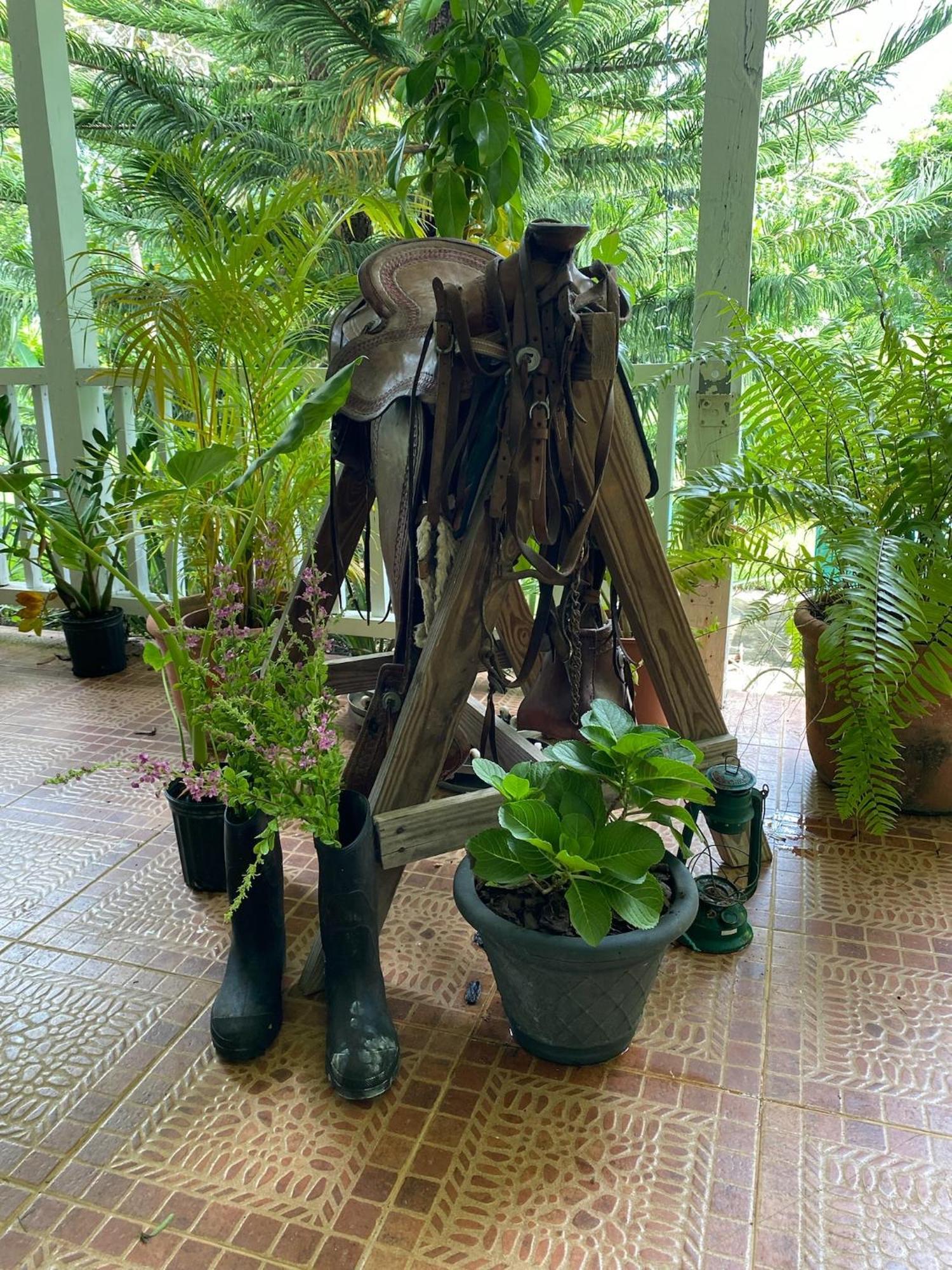 Bed and Breakfast Campito Loving Higuey Exteriér fotografie