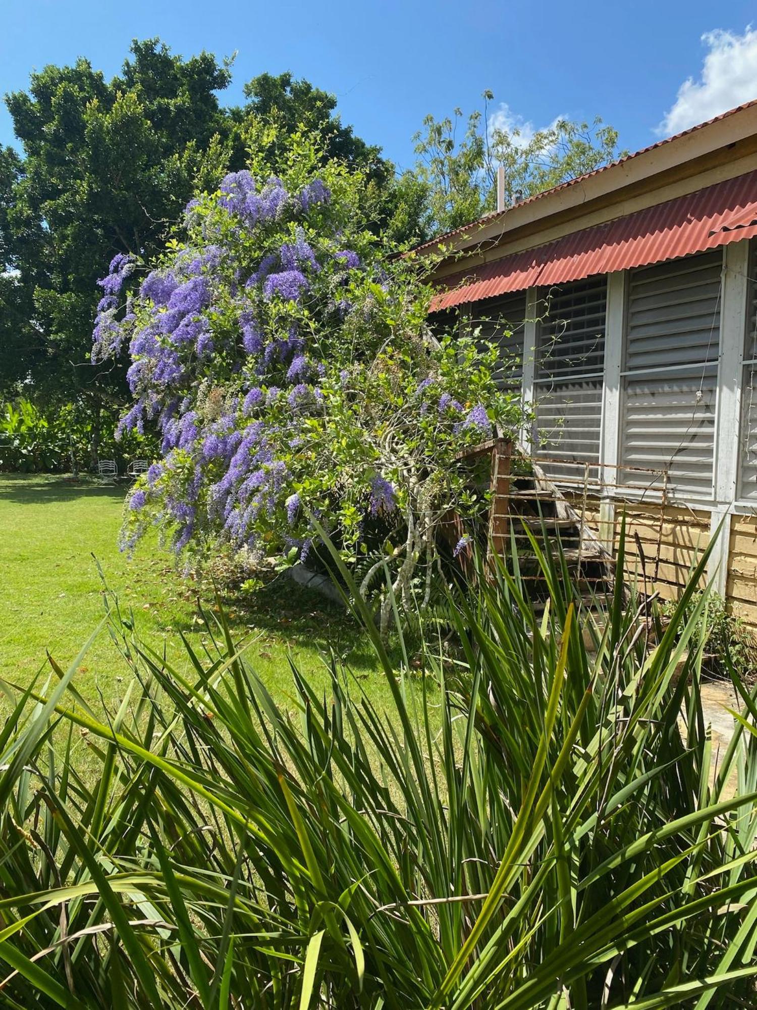 Bed and Breakfast Campito Loving Higuey Exteriér fotografie