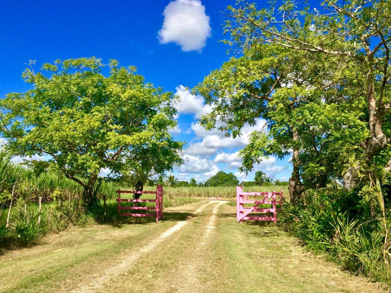 Bed and Breakfast Campito Loving Higuey Exteriér fotografie