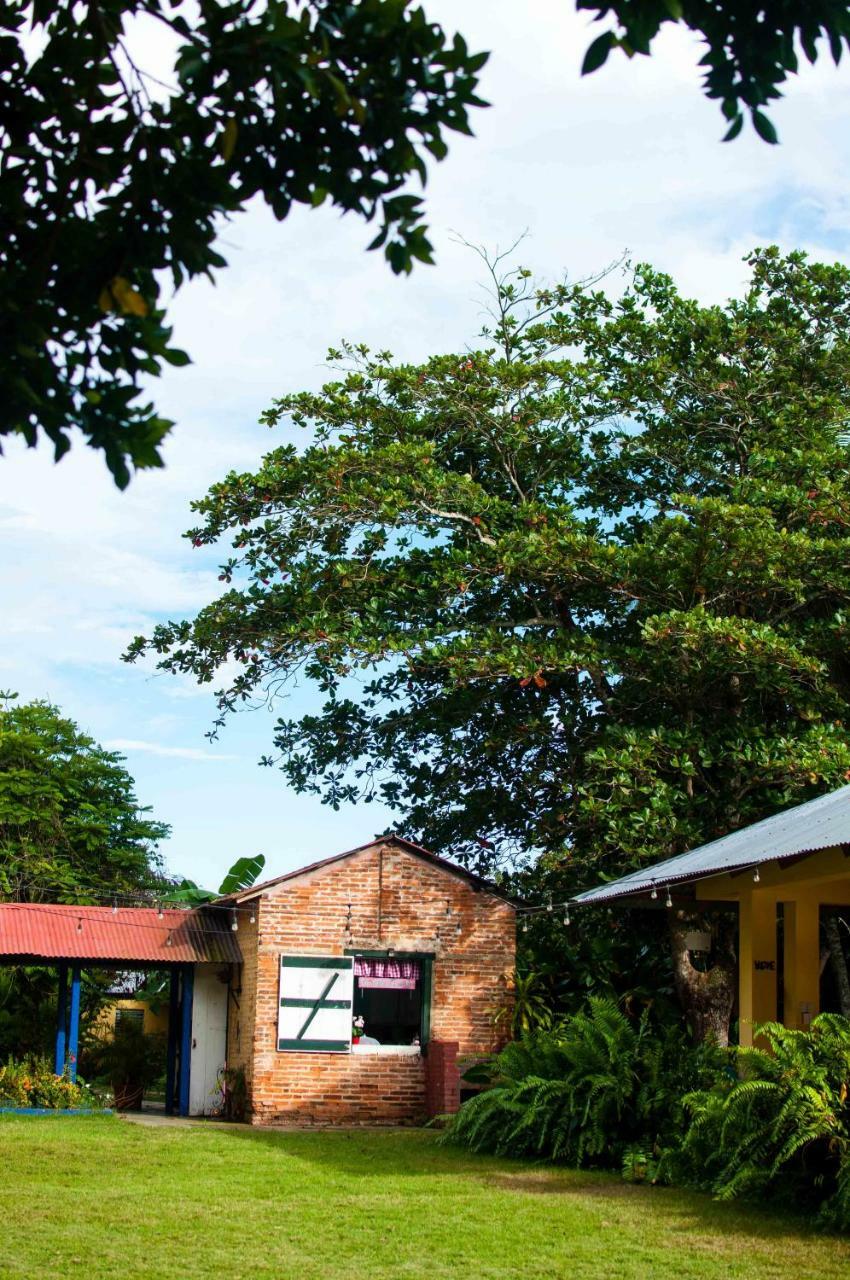 Bed and Breakfast Campito Loving Higuey Exteriér fotografie